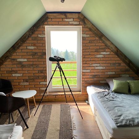 Domek Przy Debrzy Villa Poraz Екстериор снимка