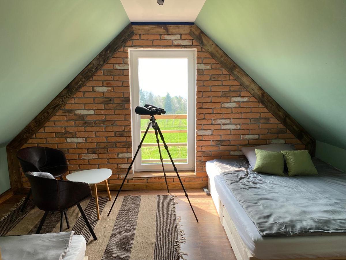 Domek Przy Debrzy Villa Poraz Екстериор снимка