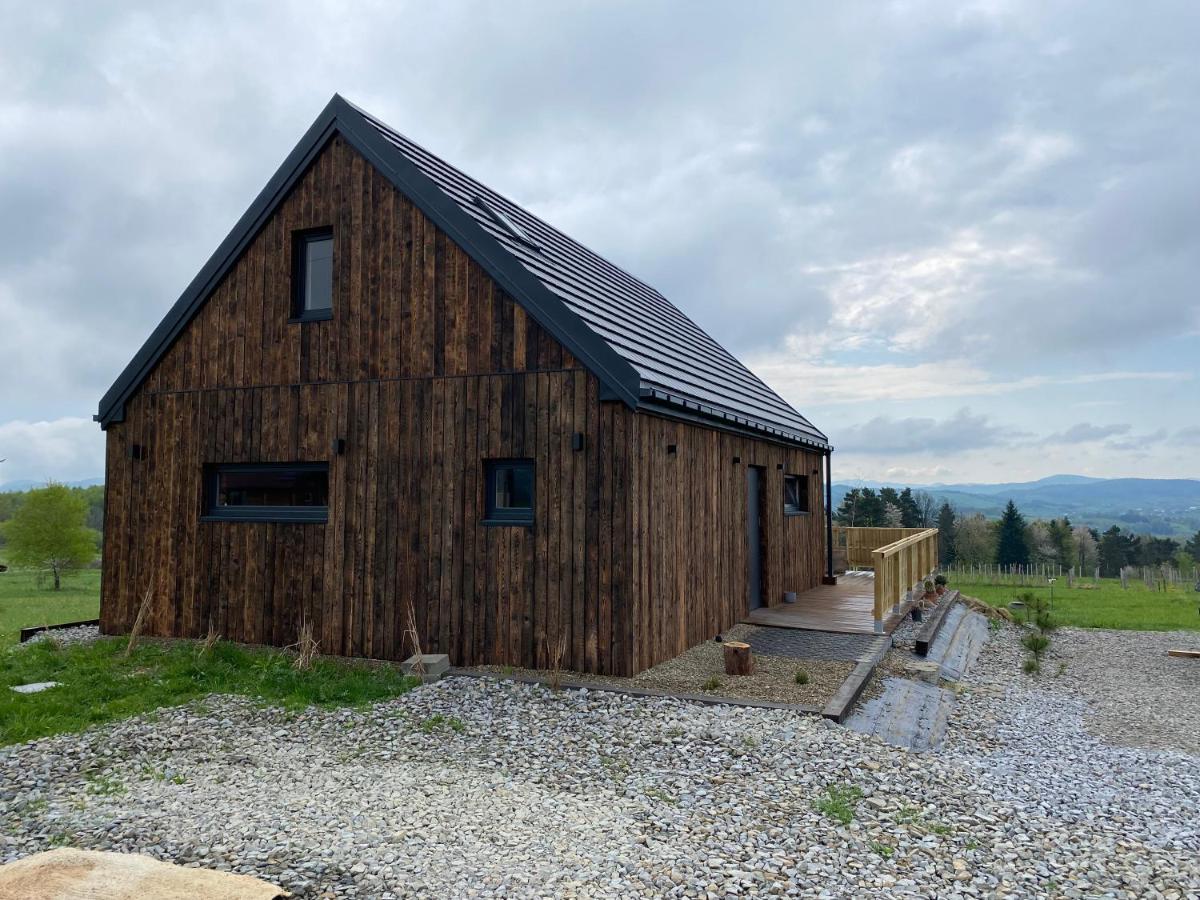 Domek Przy Debrzy Villa Poraz Екстериор снимка